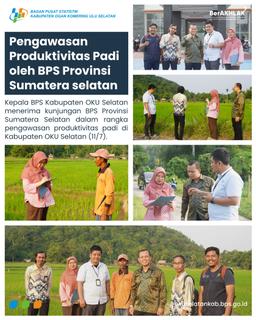 PENGAWASAN PRODUKTIVITAS PADI OLEH BPS PROVINSI SUMATERA SELATAN