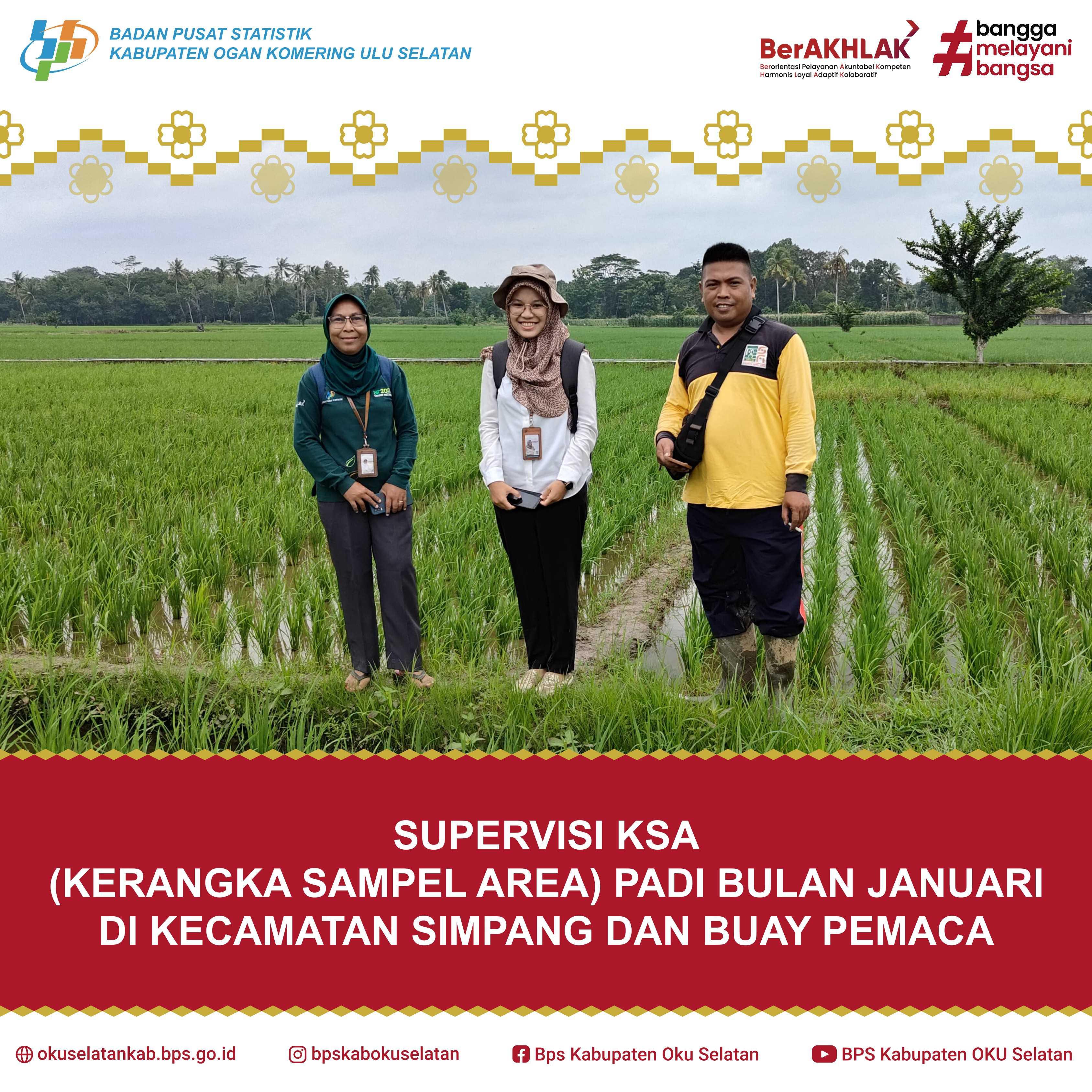 SUPERVISI KSA (KERANGKA SAMPEL AREA) PADI BULAN JANUARI DI KECAMATAN SIMPANG DAN BUAY PEMACA