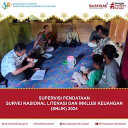 SUPERVISI PENDATAAN SURVEI NASIONAL LITERASI DAN INKLUSI KEUANGAN (SNLIK) 2024