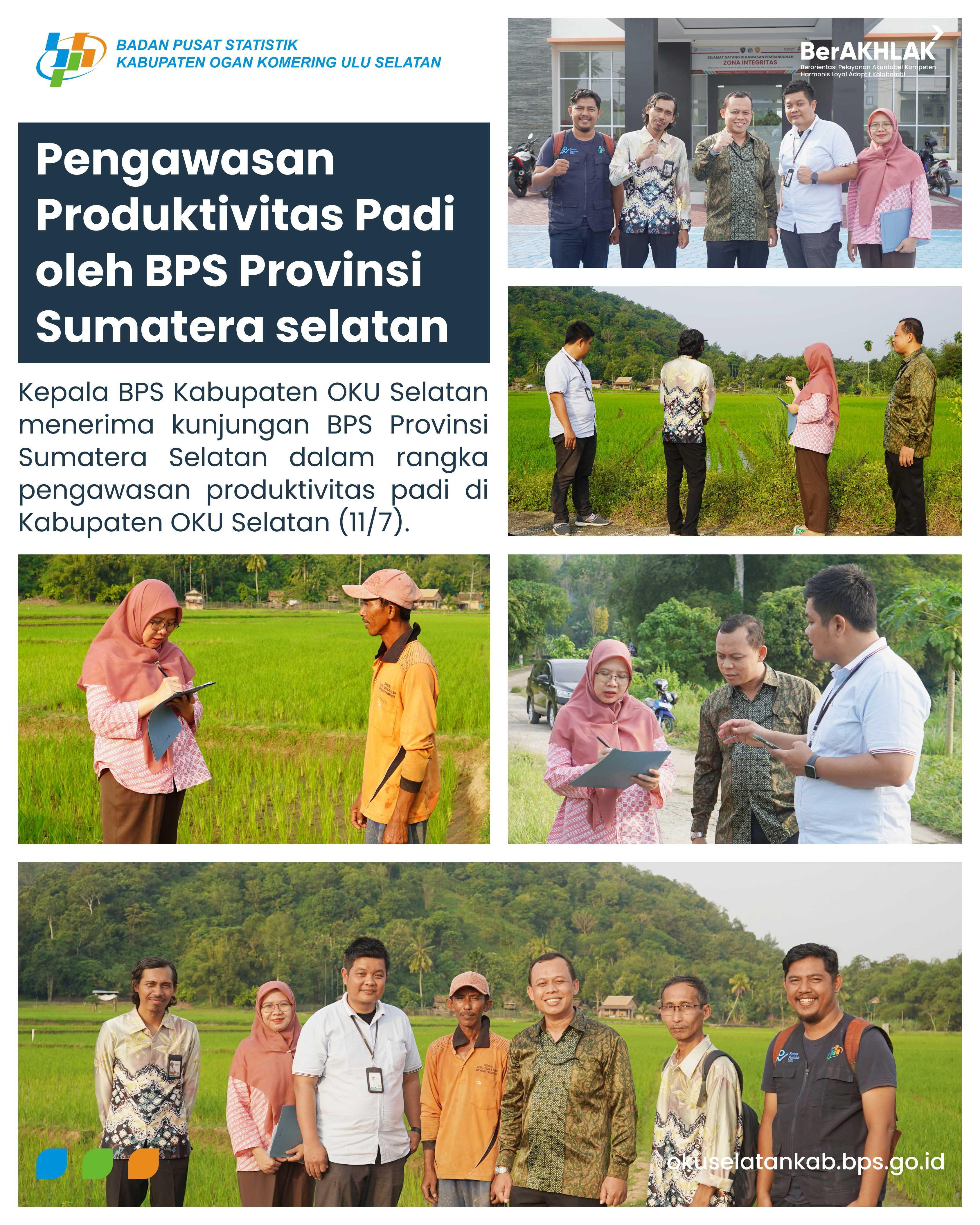 PENGAWASAN PRODUKTIVITAS PADI OLEH BPS PROVINSI SUMATERA SELATAN